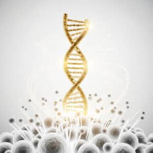 Antimüdigkeits-Drip Plus - Longevity